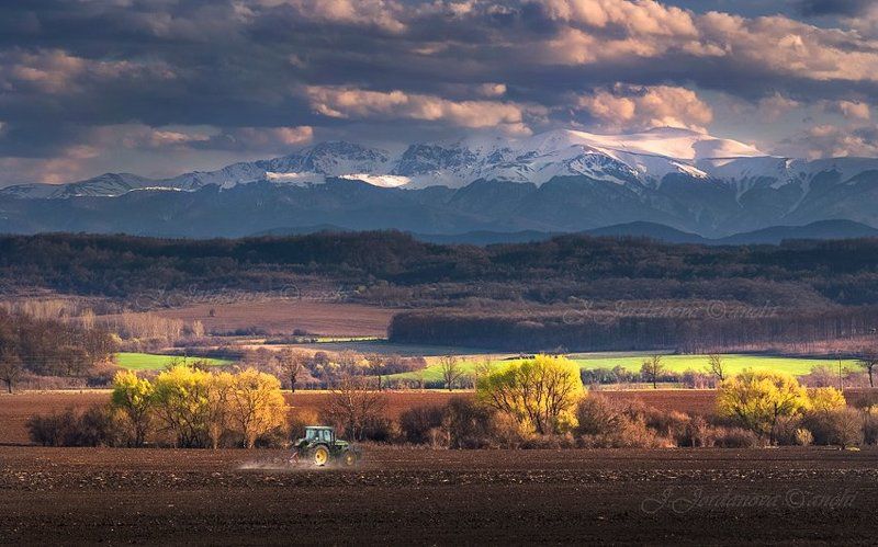 spring фото превью