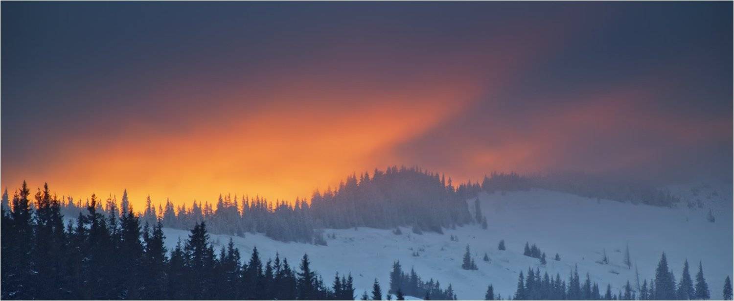 , Денис Кривой