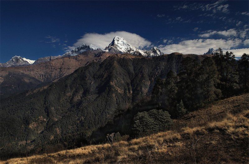 непал, гималаи Анапурна 1 фото превью