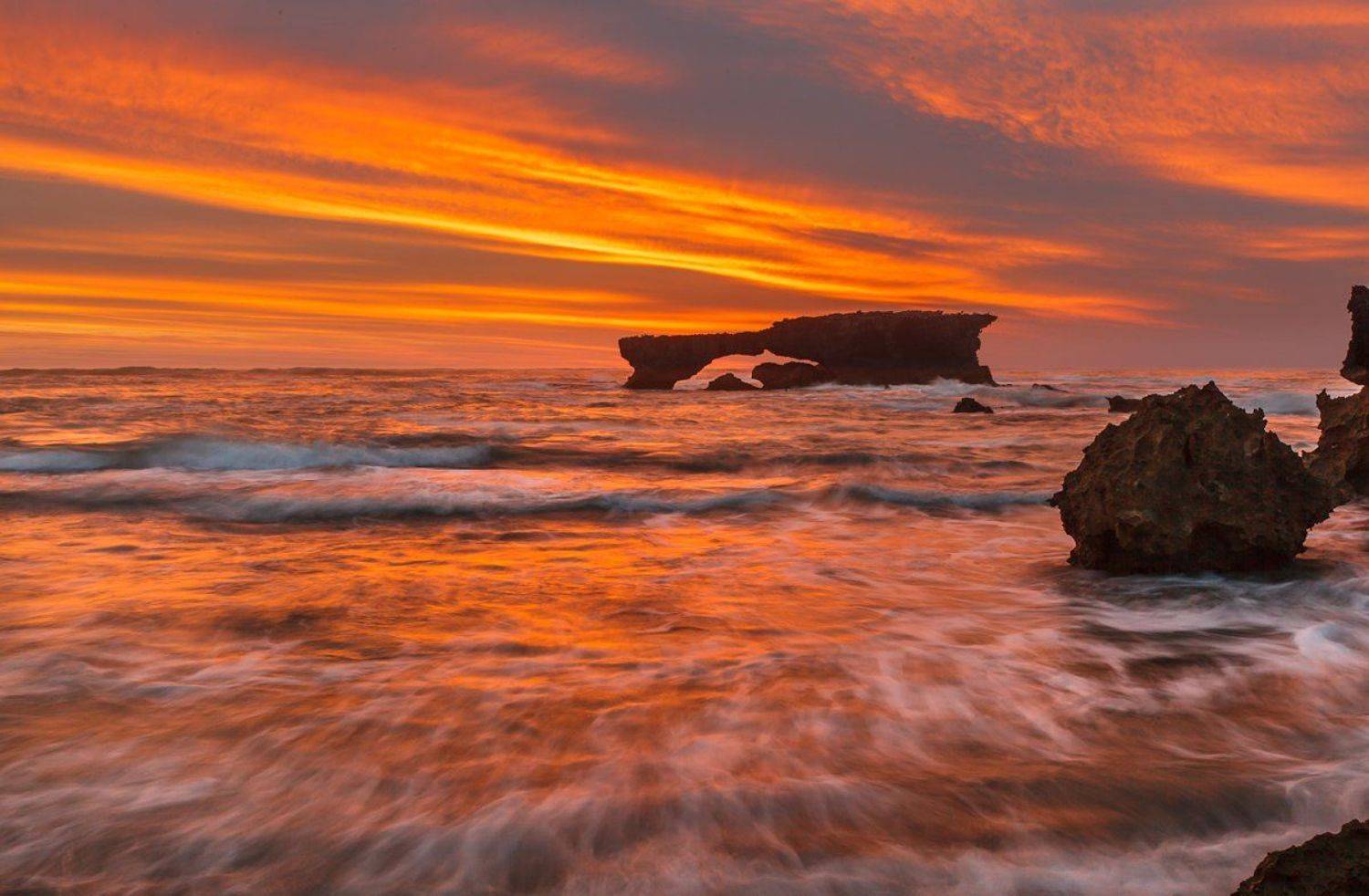 , Надежда Звягина / New Zealand