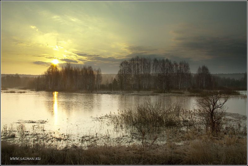 весна,пейзаж,утро,паводок,деревья,вода,мальцево,палитра, ВЕСНА !!! фото превью
