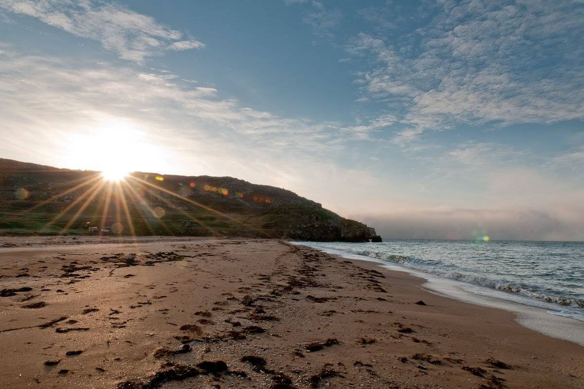 , максим куташев