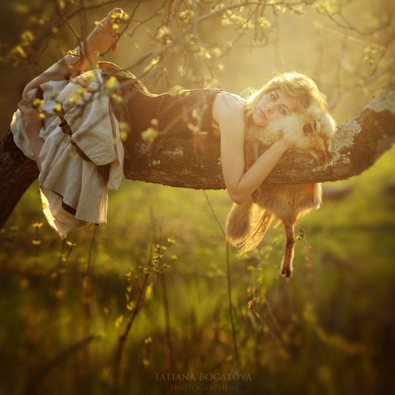 закат, лиса, девушка, лес Лисьи сны фото превью