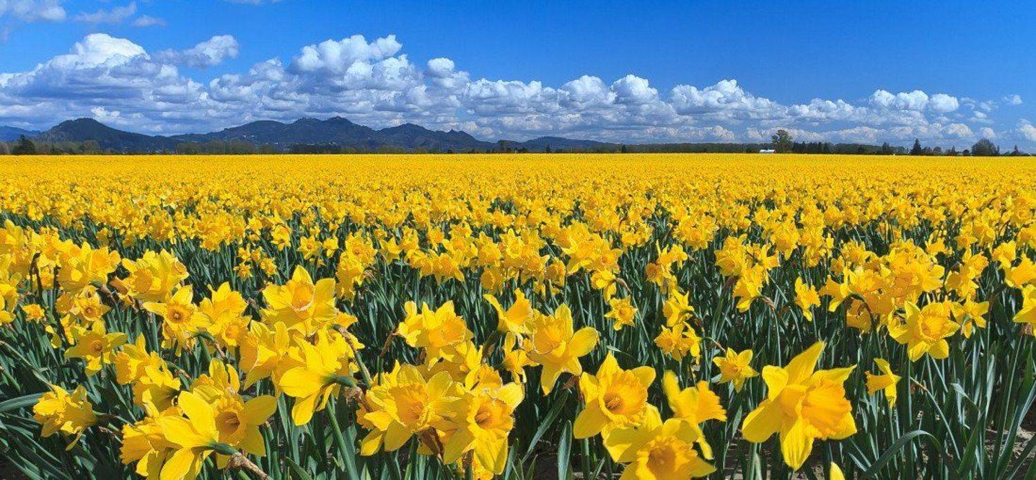 , ГеннадийАлексеич