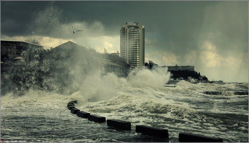 Апокалипсис сегодня фото превью