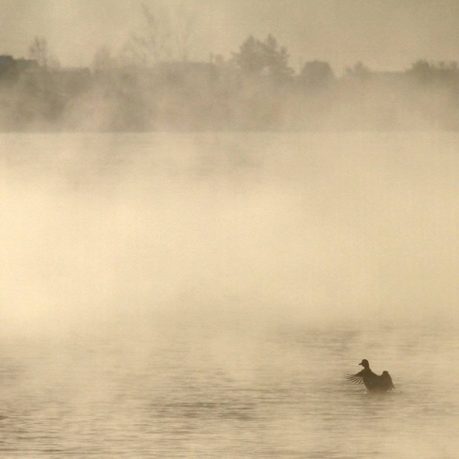 , Васенин Валерий