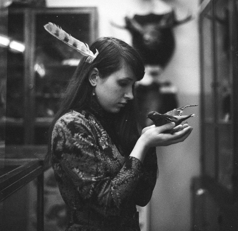 птицы фото превью