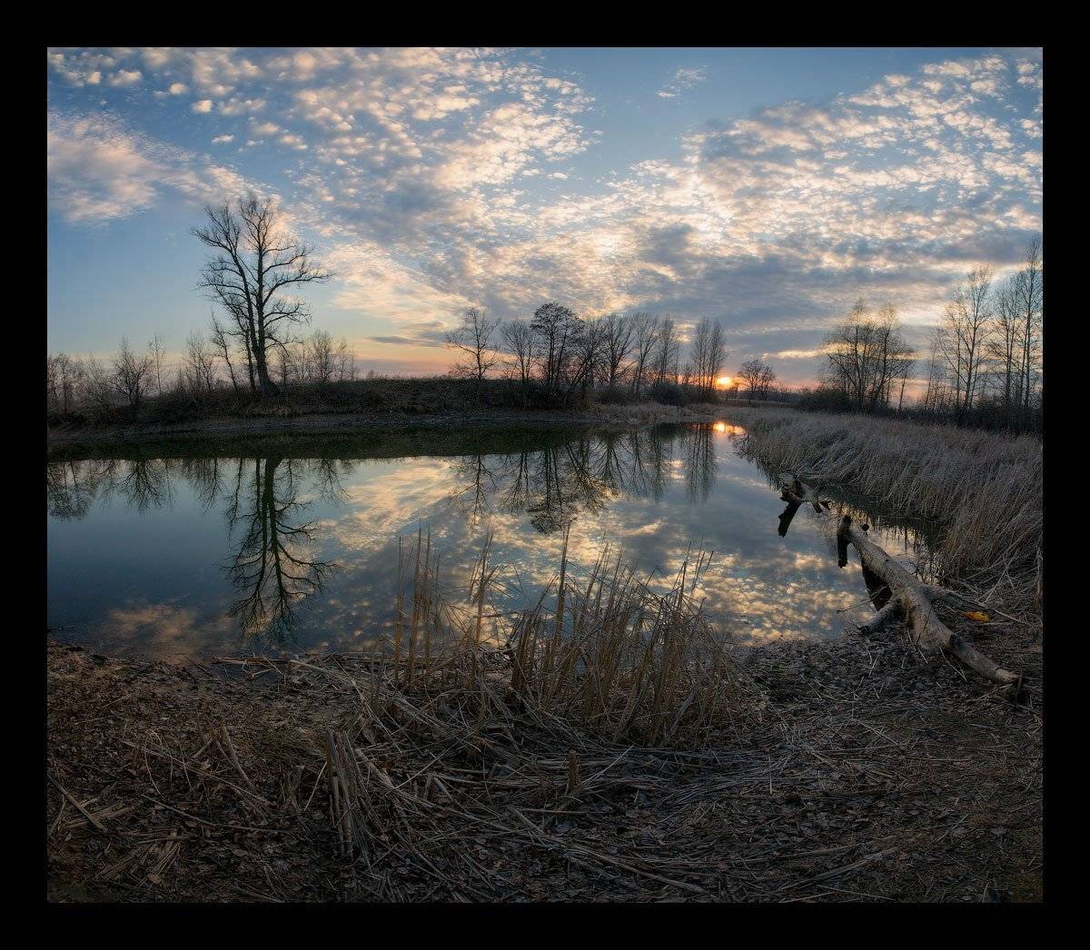 , Владимир Ляпин