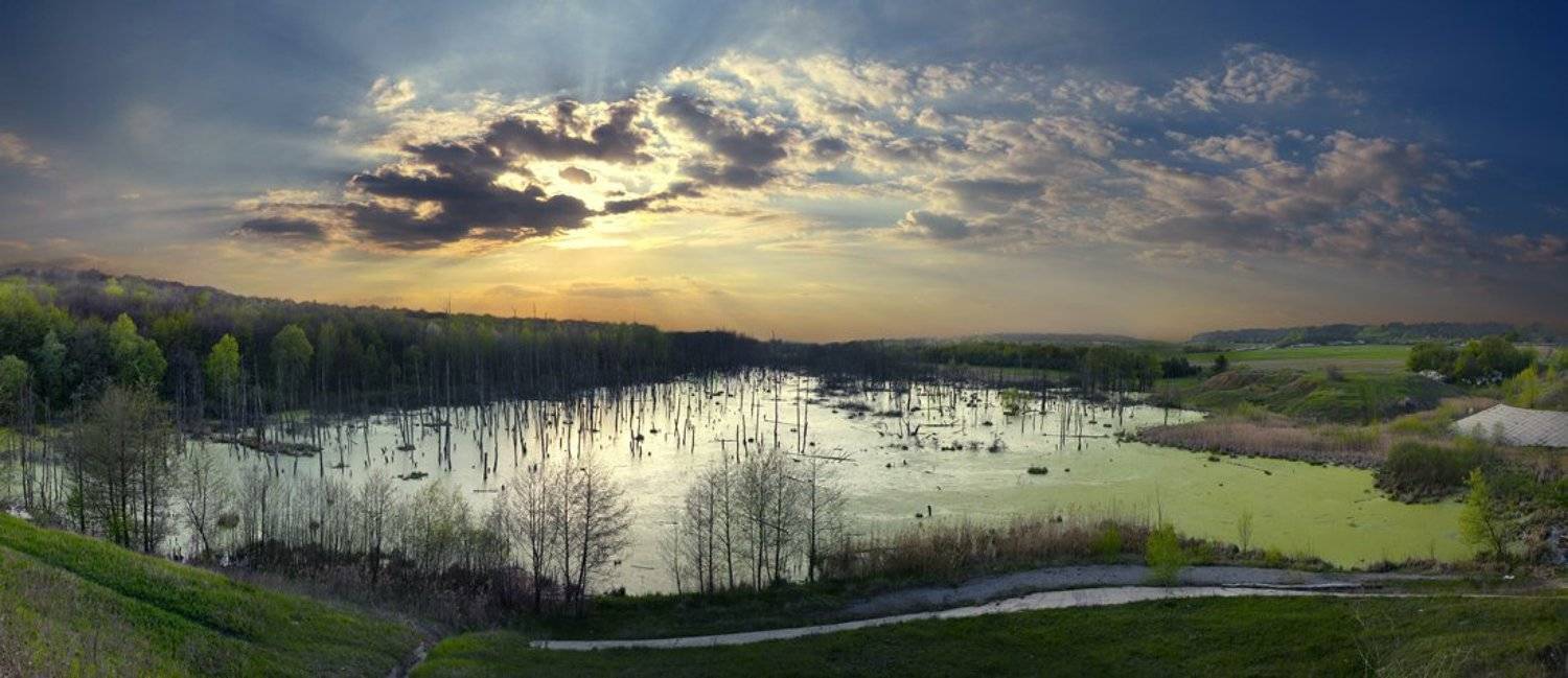 , Дмитриева Наталья