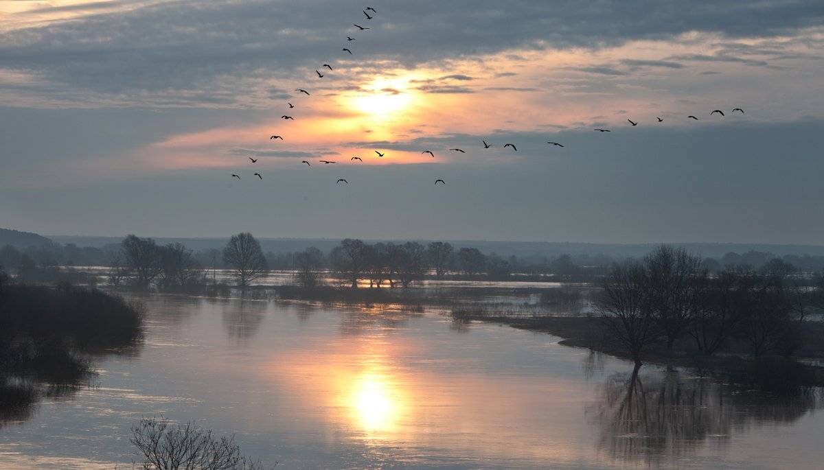 , Валерий Кондратов