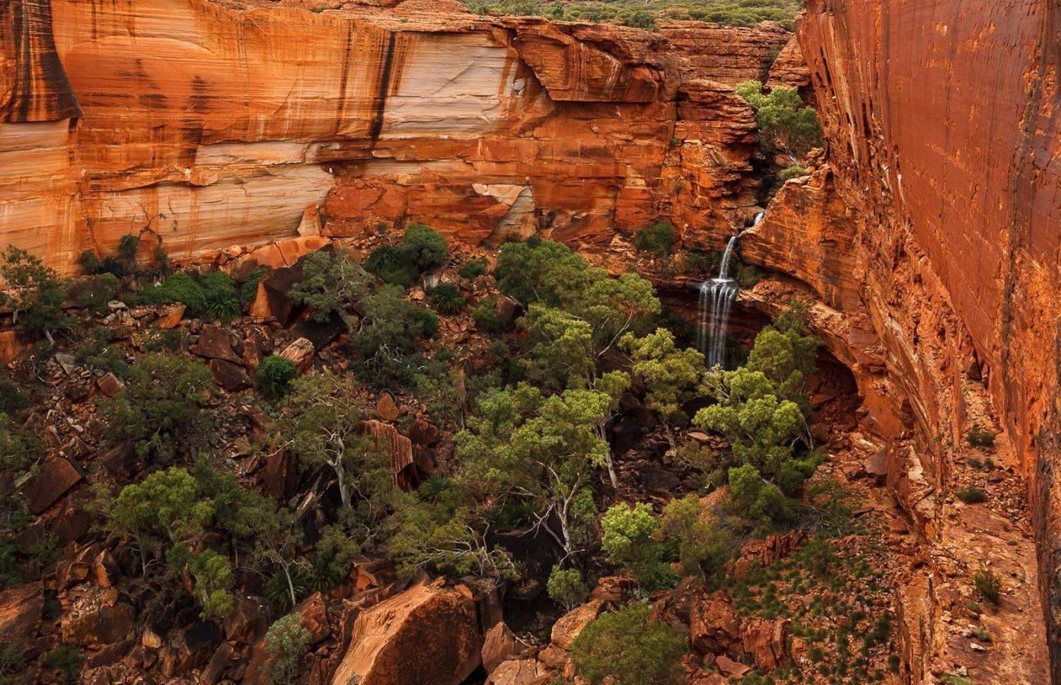 , Надежда Звягина / New Zealand