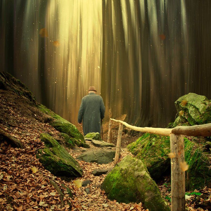A place where i love to walk