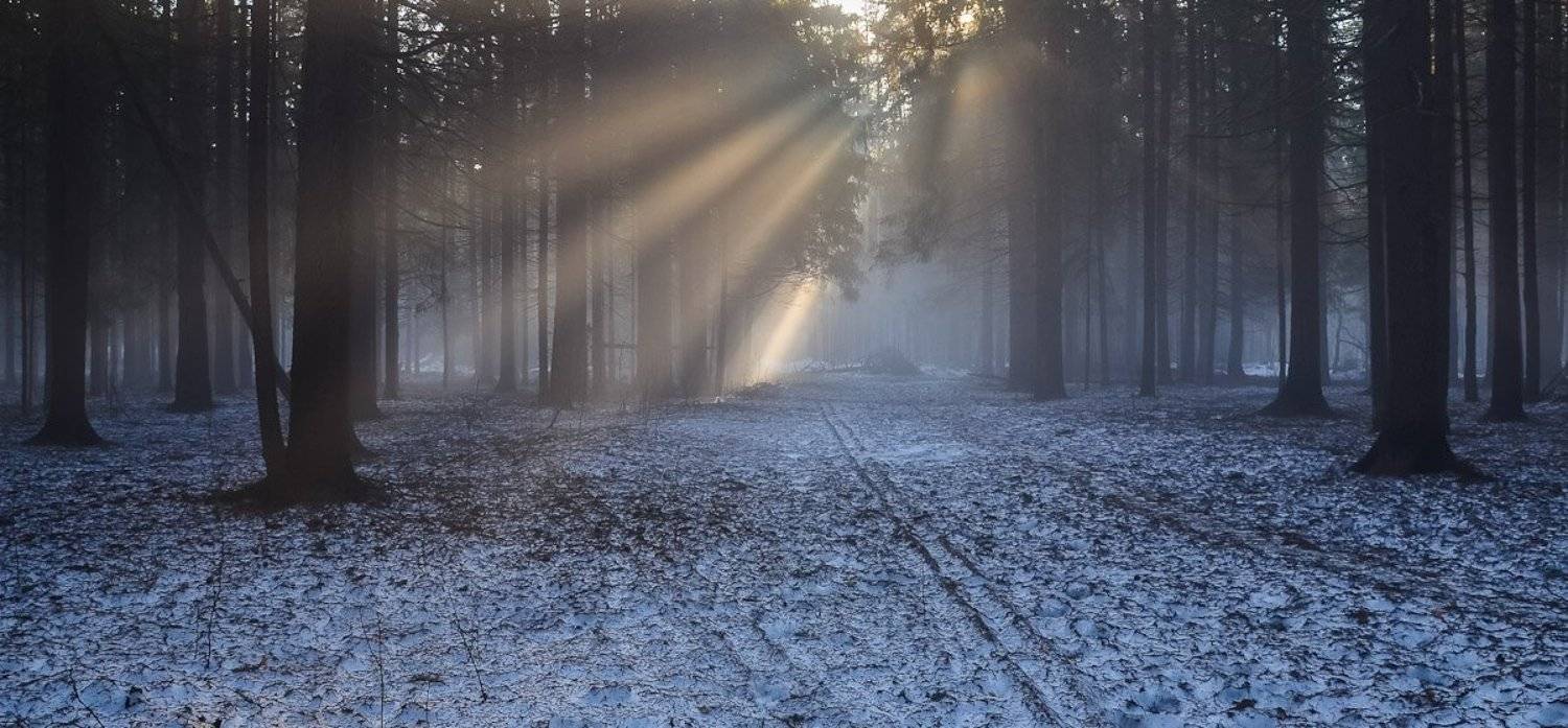 , Света и Вася