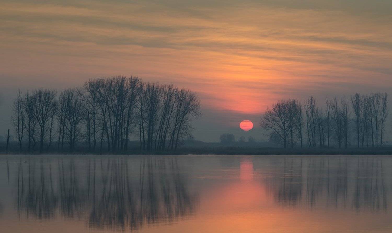 , Philip Peynerdjiev