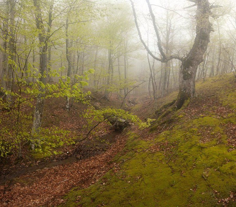 ... фото превью