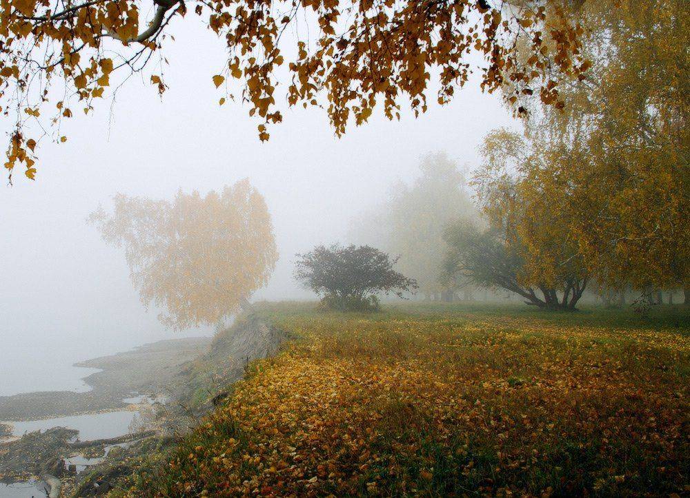 , Николай Морский