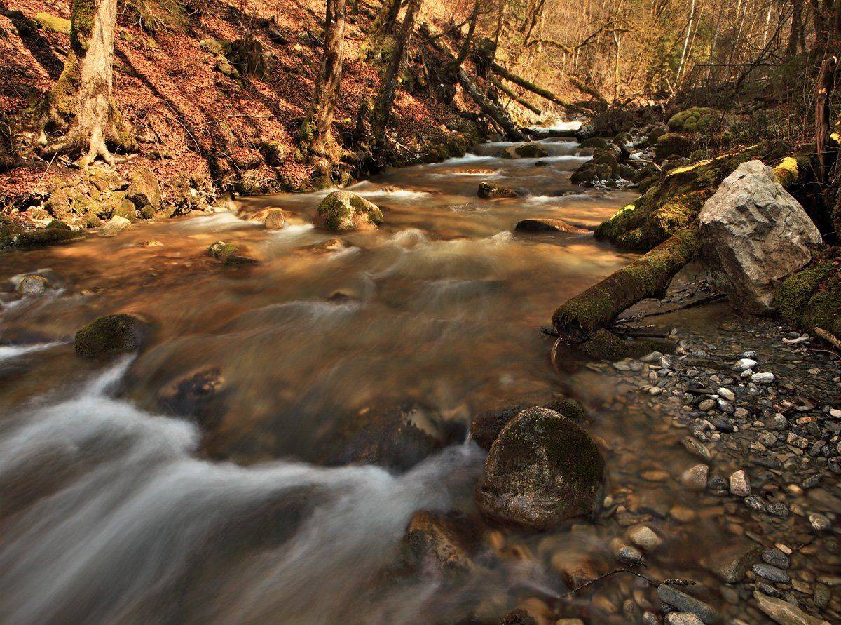 swiss, Матвеев Николай