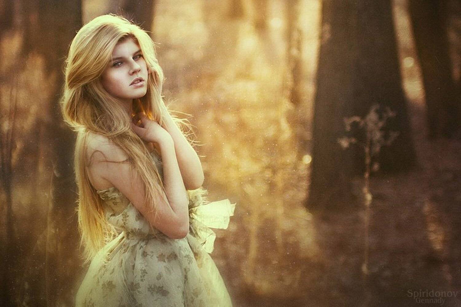 , Геннадий Спиридонов