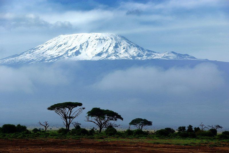 африка, пейзаж, килиманджаро, кения Кили фото превью