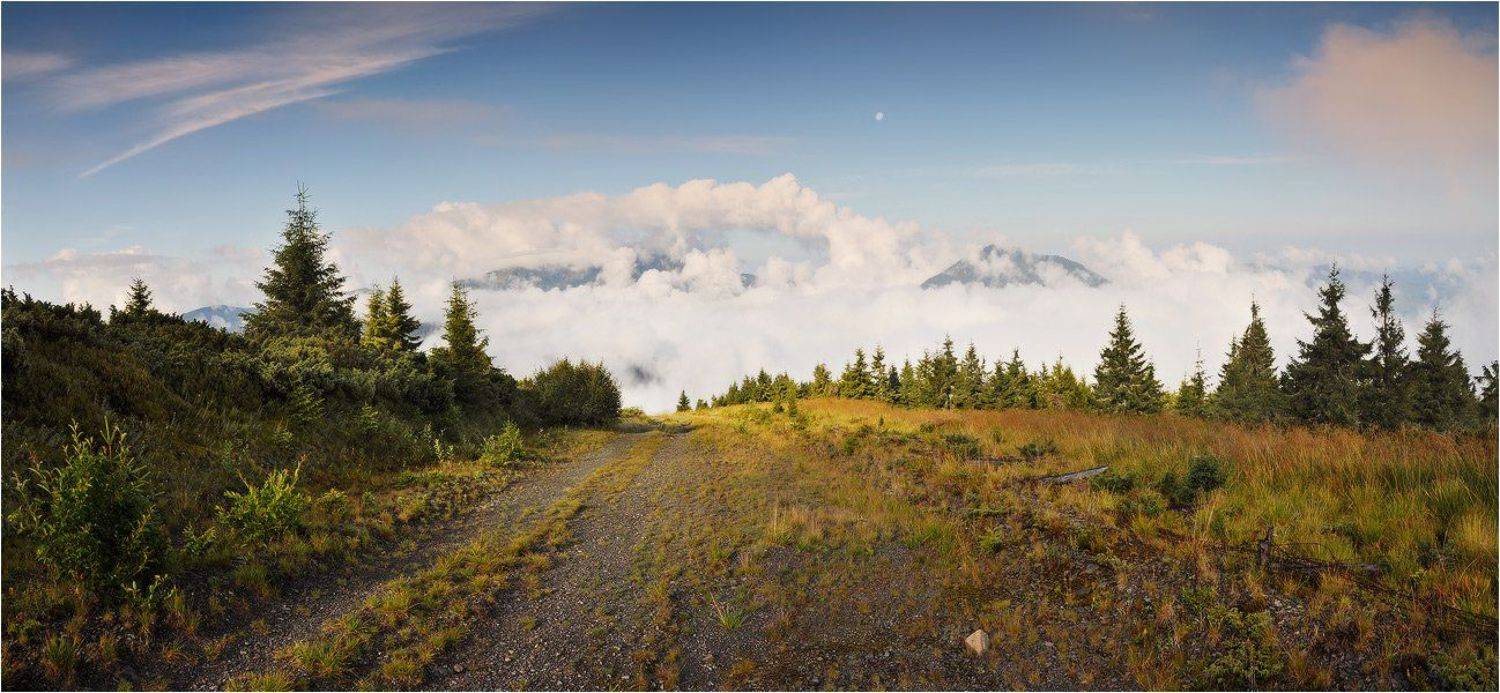 , Денис Кривой