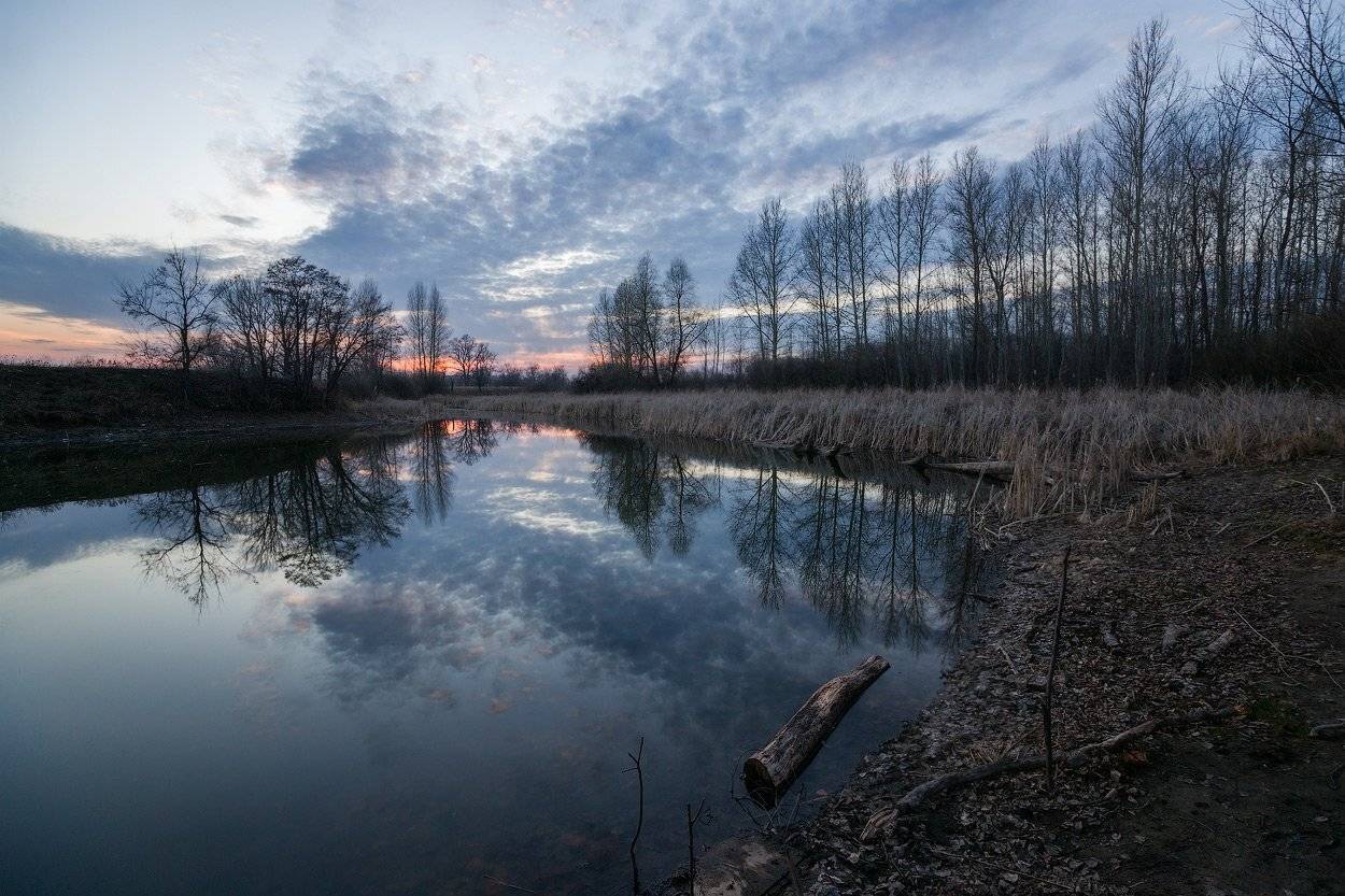 , Владимир Ляпин