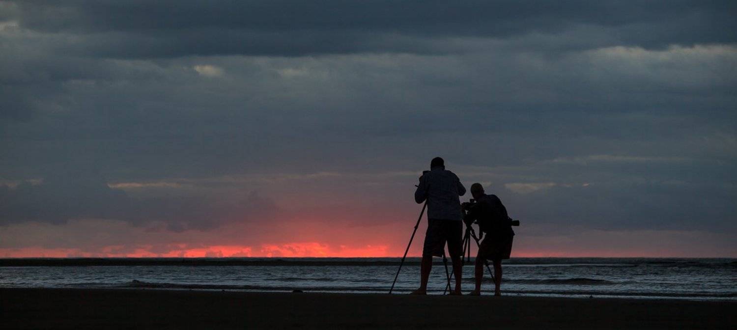 , Надежда Звягина / New Zealand