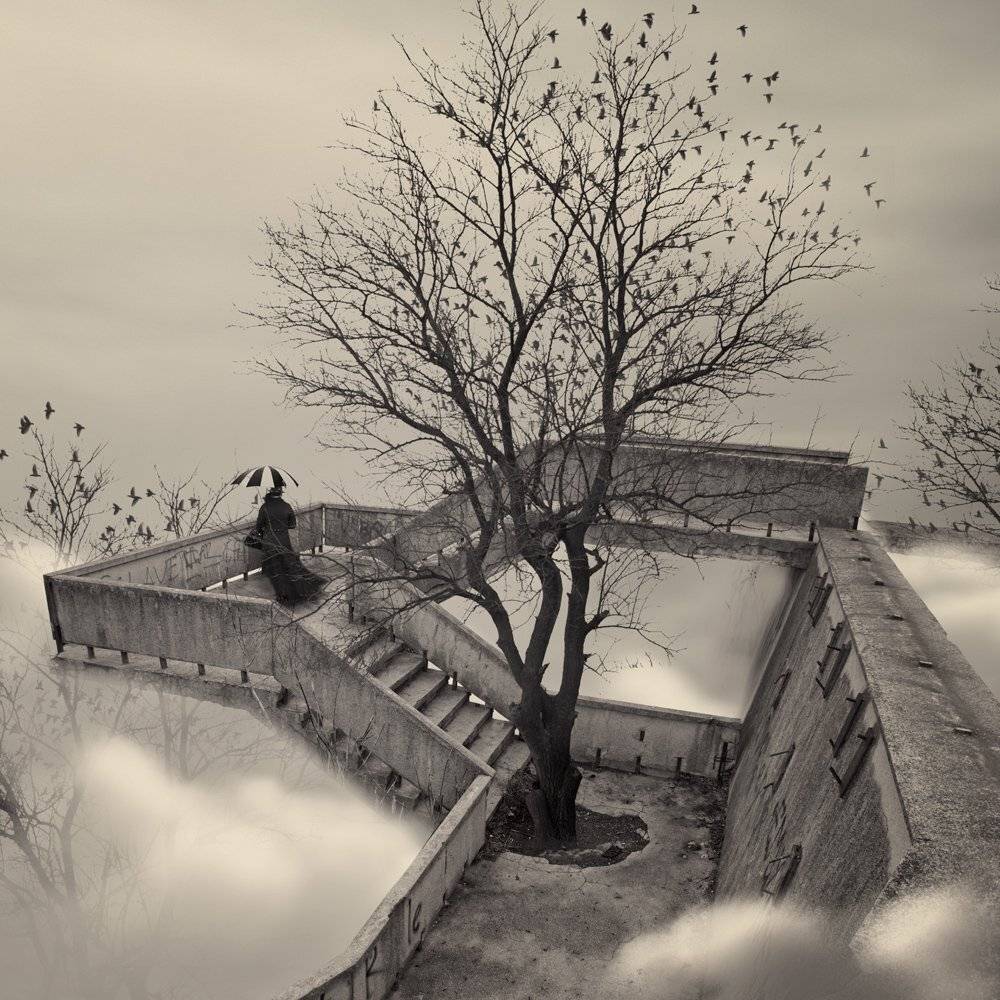 girl, birds, clouds, tree, woman, brick, strairs, Caras Ionut