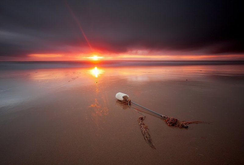 Hard Day\'s Night ... . фото превью
