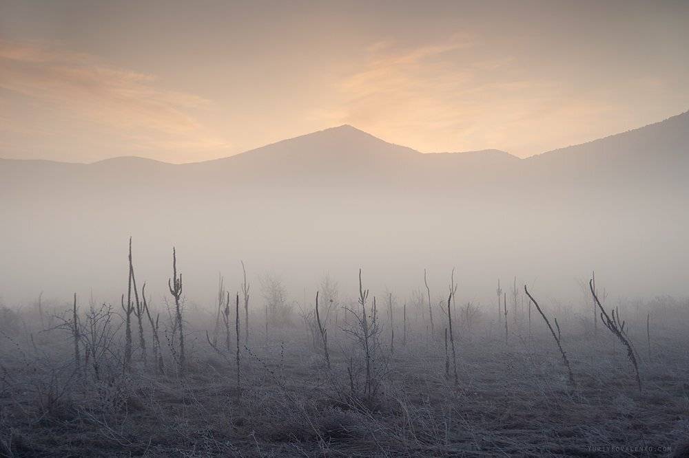 , Юрий Коваленко