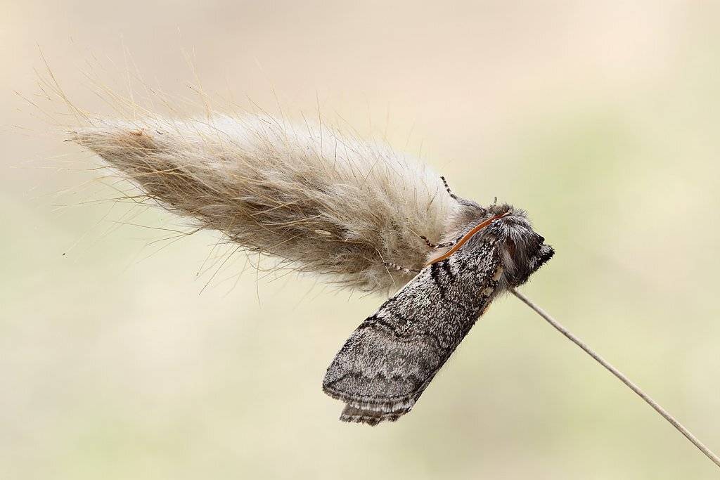 , Сергей Таланов