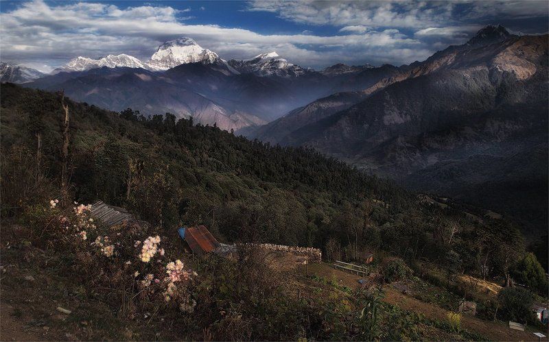 непал, гималаи, горы затерянное селение фото превью