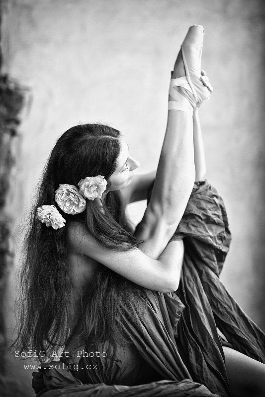 ballet, balet, tanec, dance, sofig ... фото превью