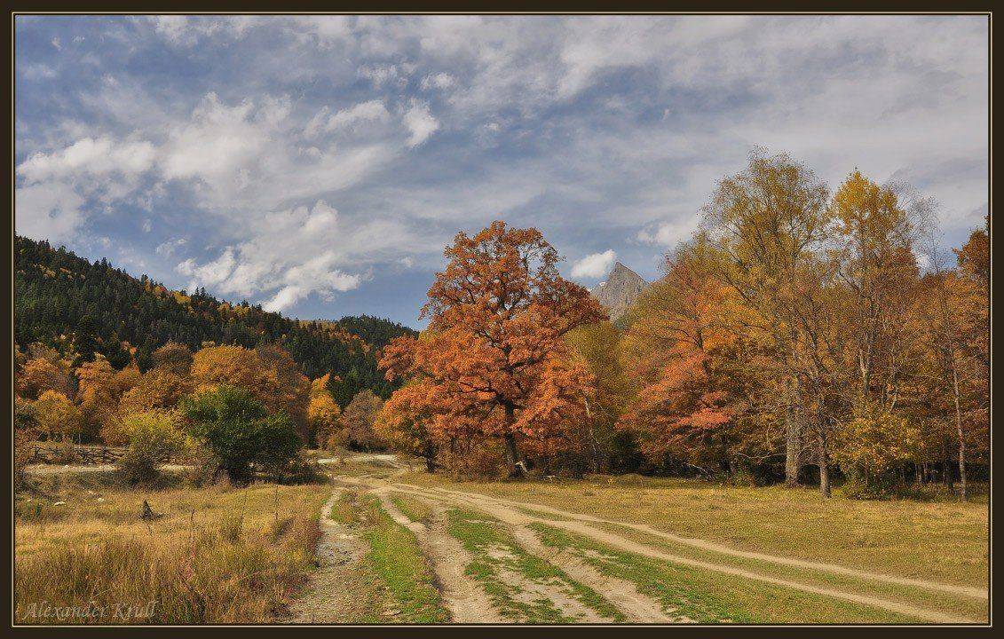 осень, охра, Александр Круль