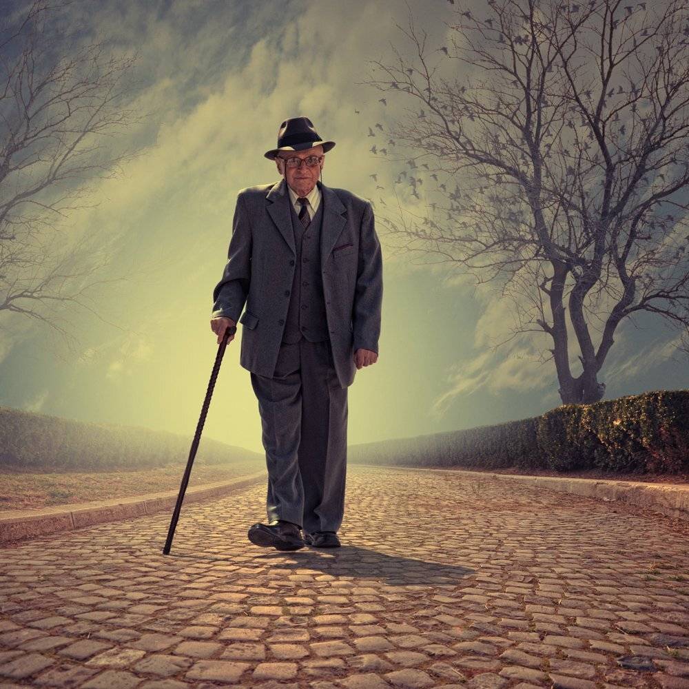 man,old,light,clouds,sky,tree,birds,walking,shadow,clouds,light,reflection,glass, Caras Ionut