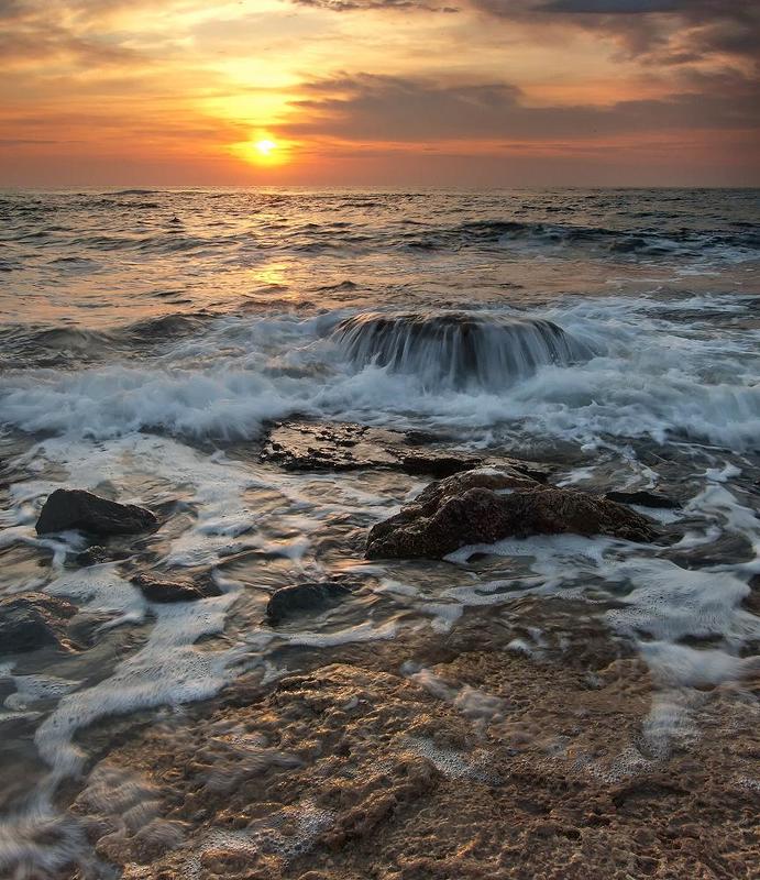 Фото фото превью