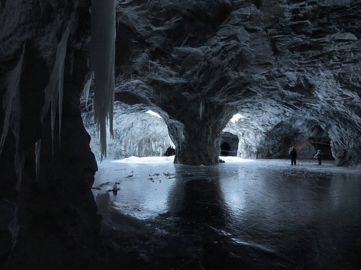 , Максим Евдокимов