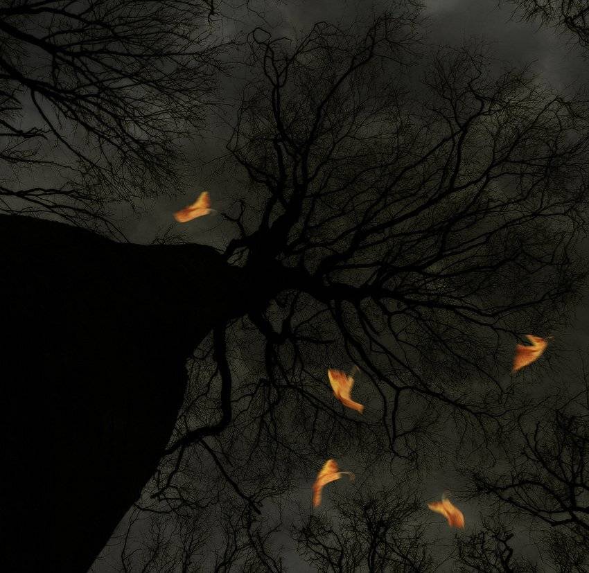 , Михаил  Пилипенко