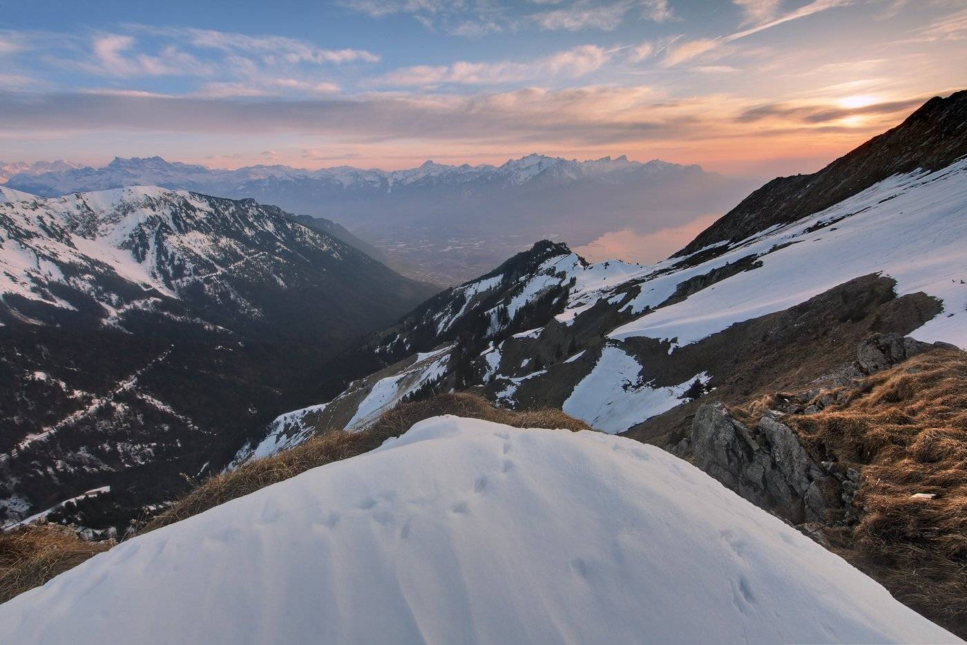 swiss, Матвеев Николай