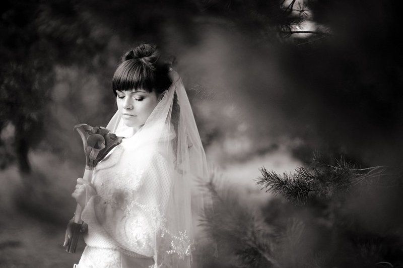 *** фото превью