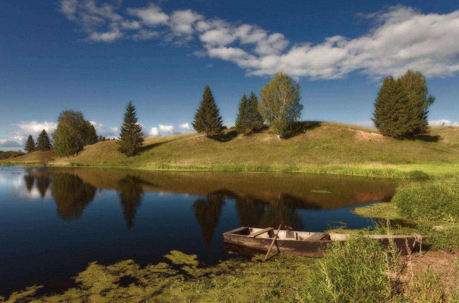 озеро, трава, лодка, березы, елки, отражения, облака, лето, Георгий Машковцев