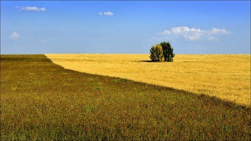 Счастливая парочка