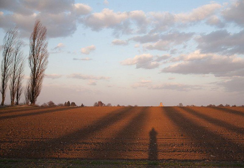 *** фото превью