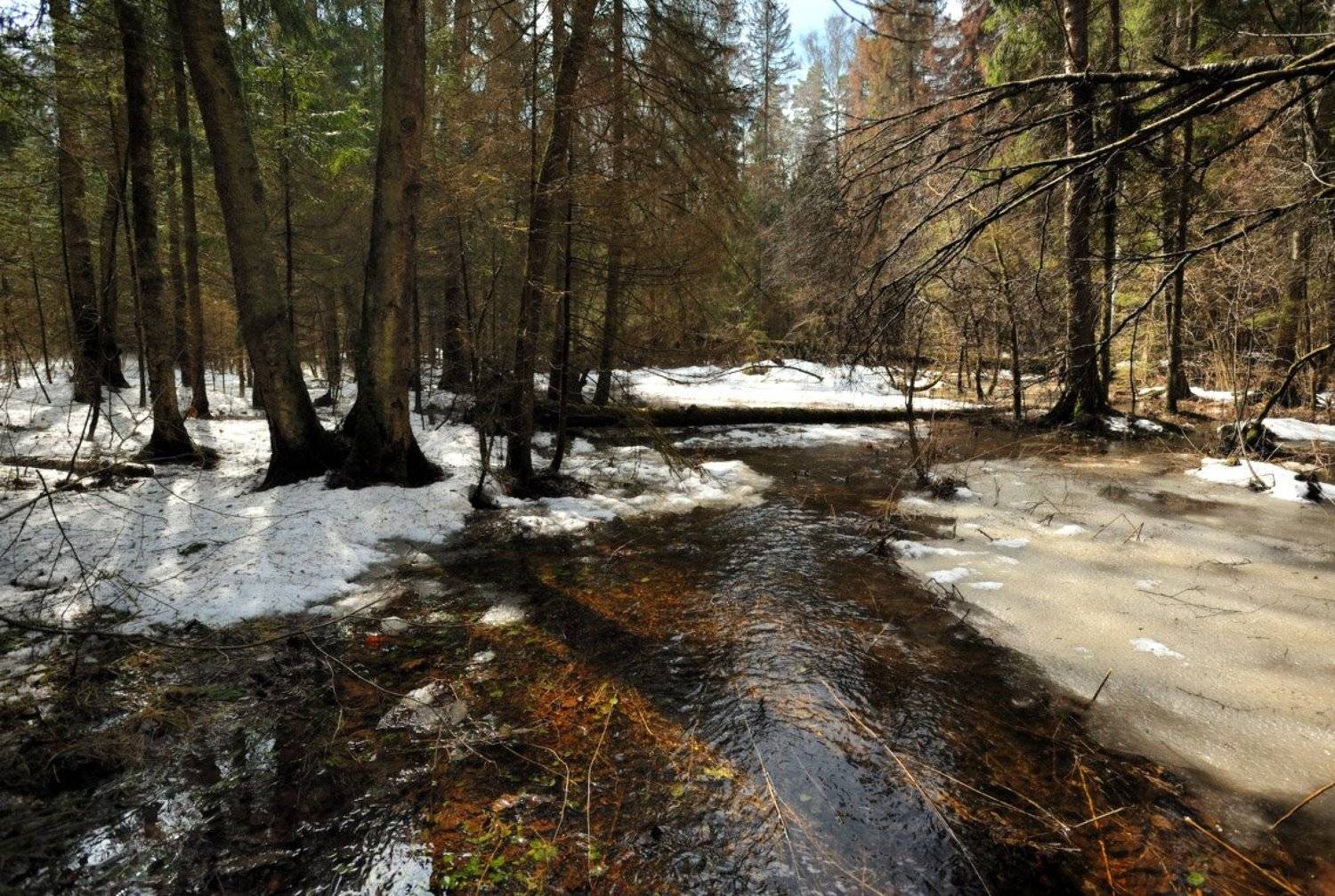, Сергей Седов