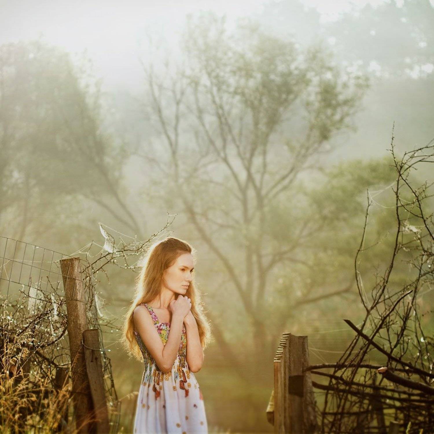 , Олег Емельянов