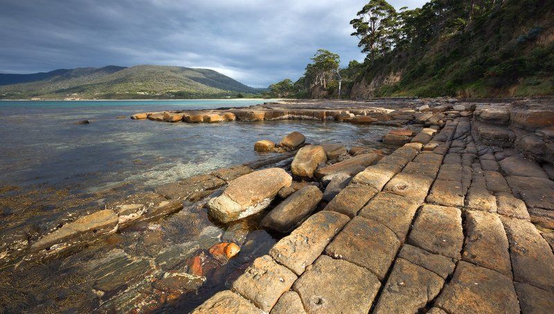 tessellated pavement, tasmania Tessellated pavement фото превью