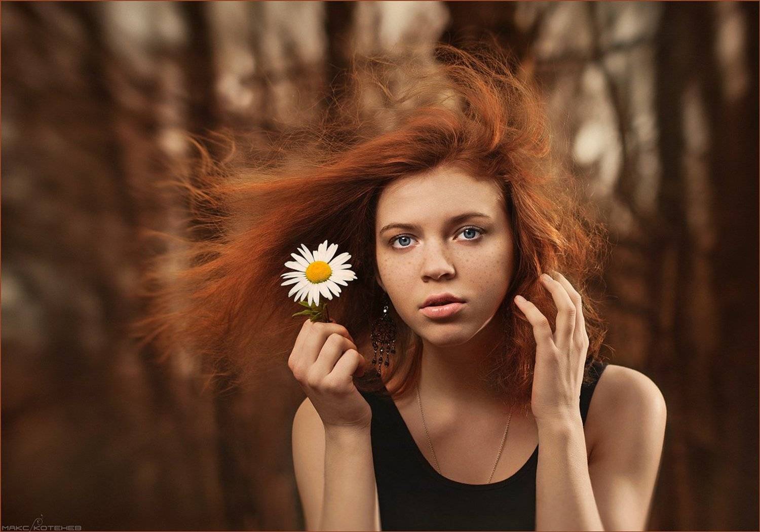 девочка, ромашка, ветер, Макс Котенёв