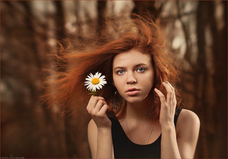 девочка, ромашка, ветер Девочка с ромашкой фото превью