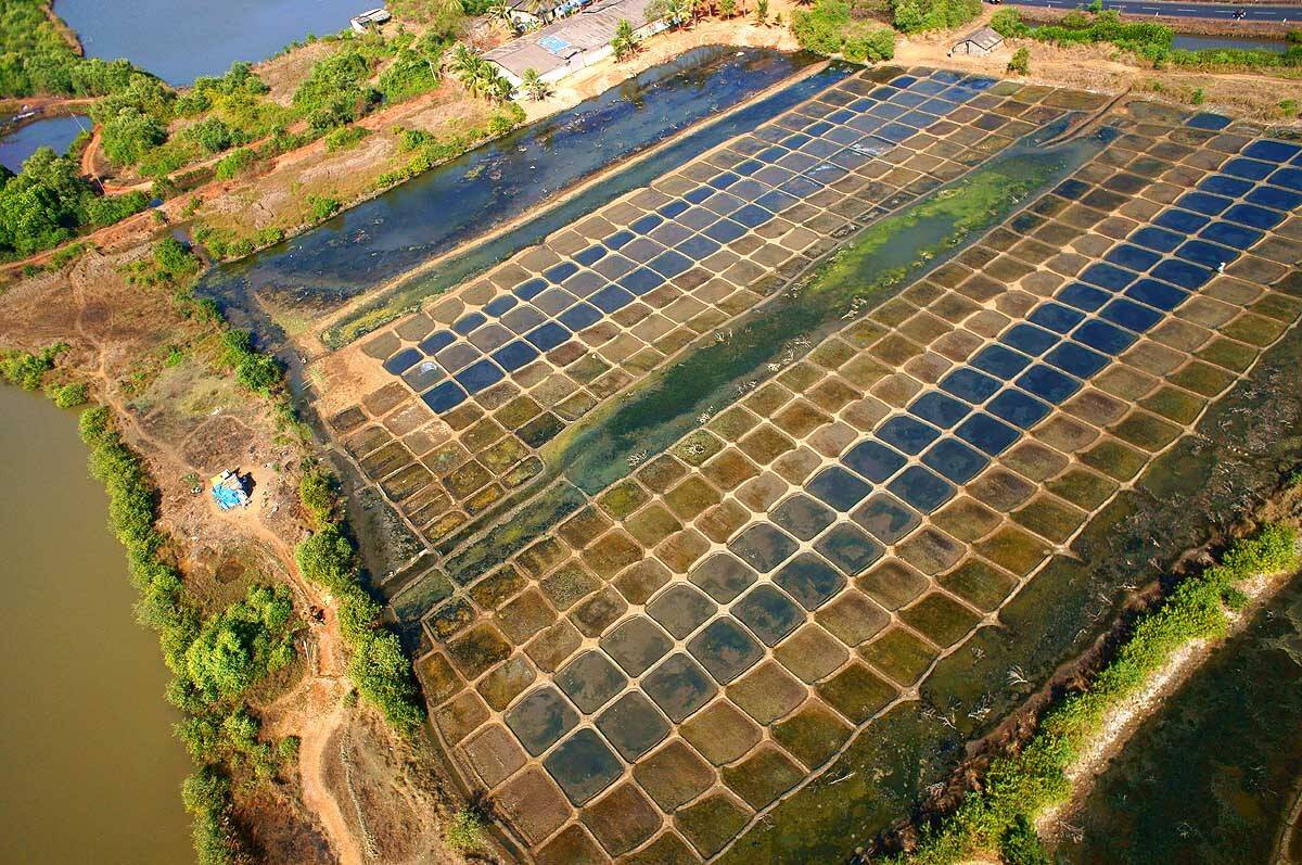 индия, аэро, гоа, Борис Резванцев