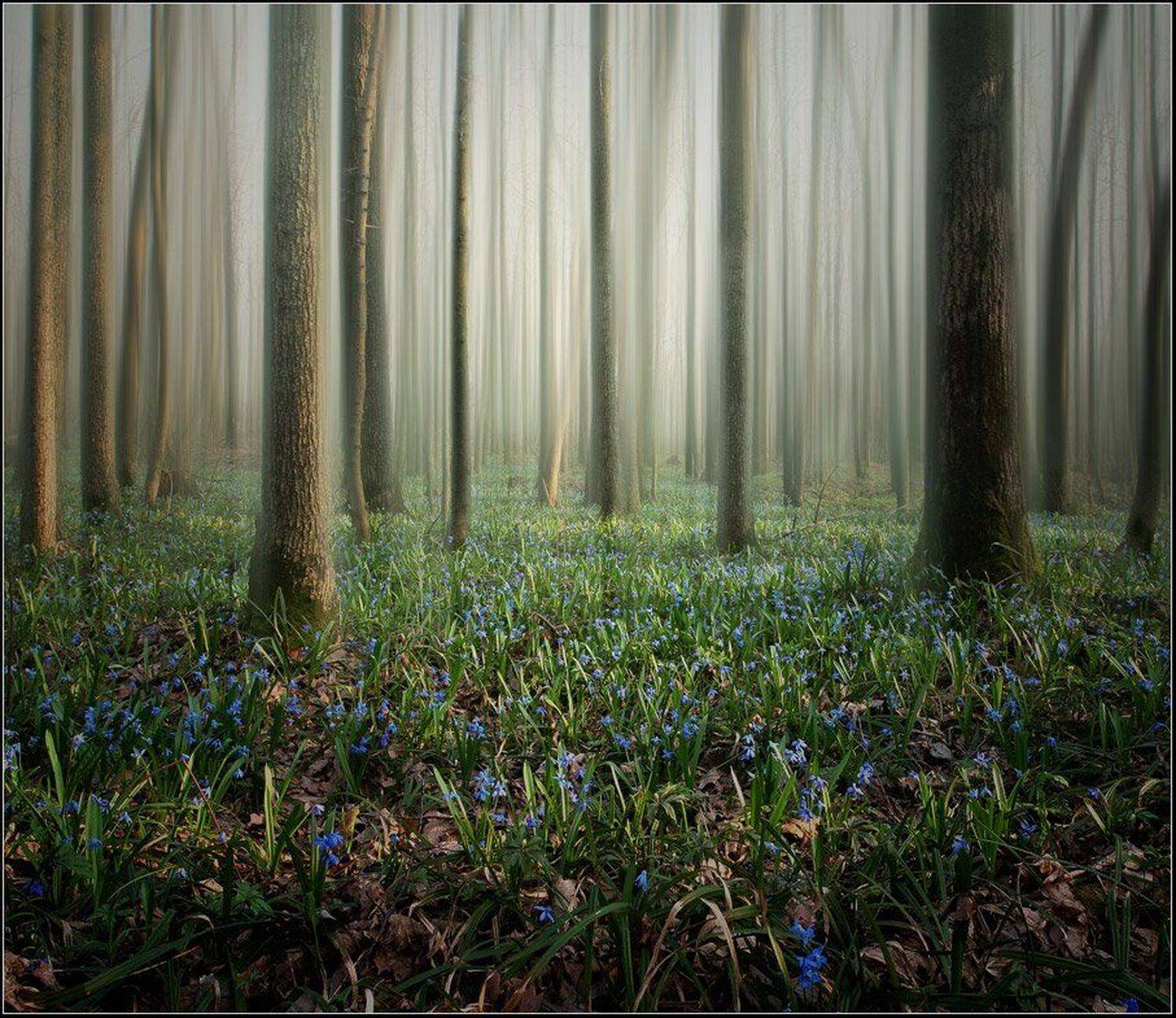 , Вадим Трунов