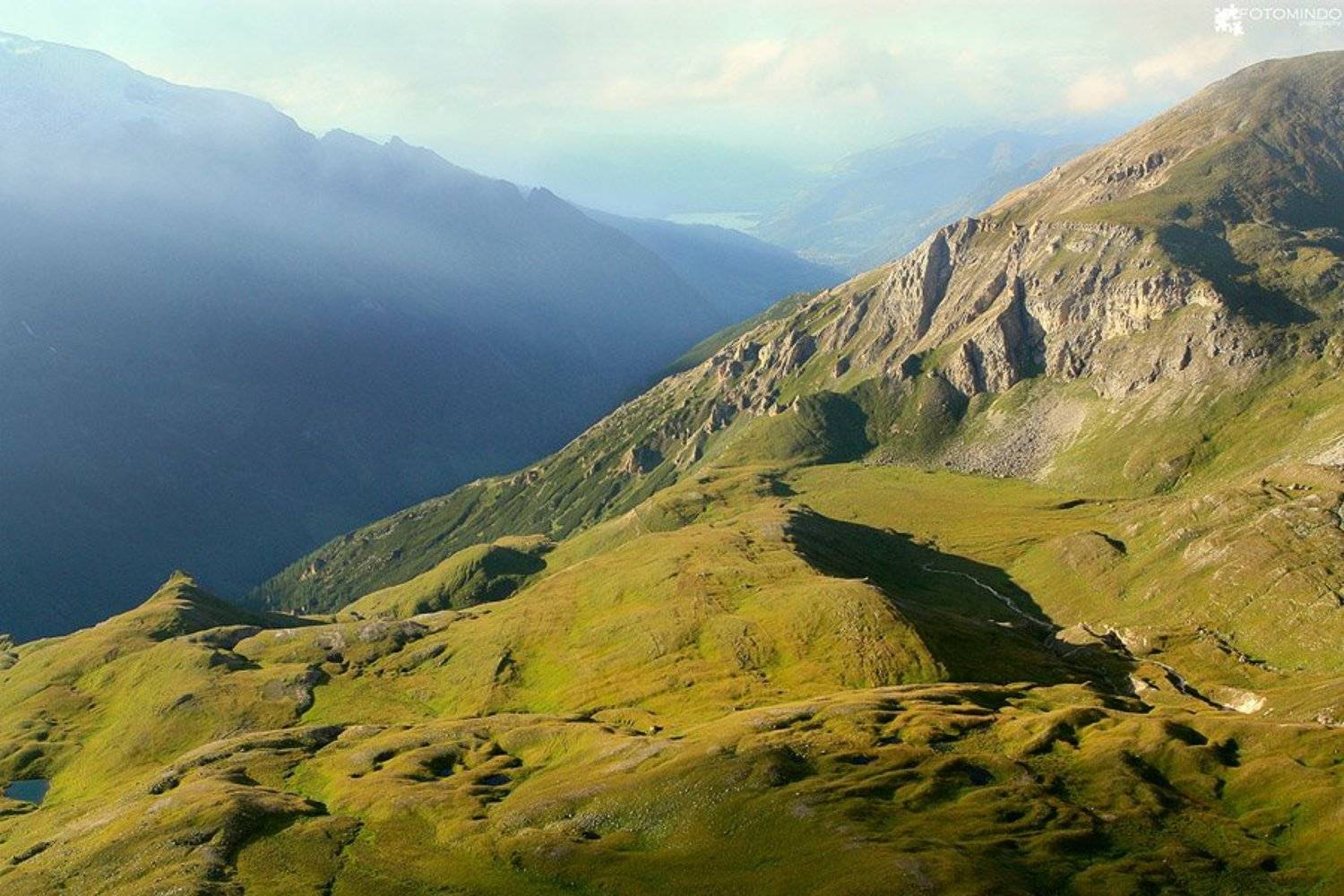 , Mindaugas Navickas